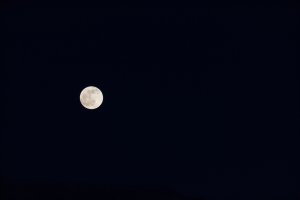 20201229Moon029.jpg